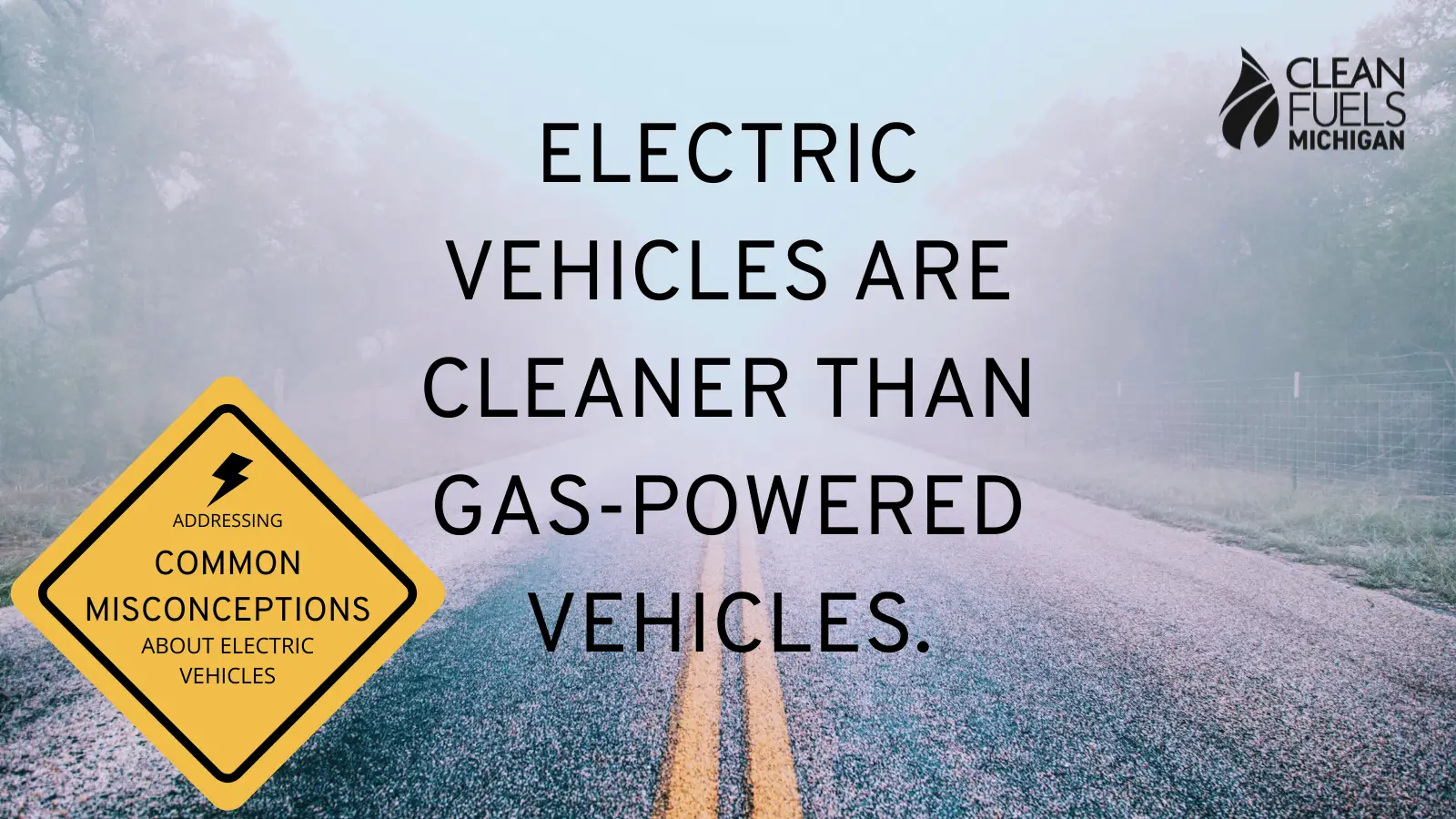Read more about the article Electric Vehicles: The Cleaner Car