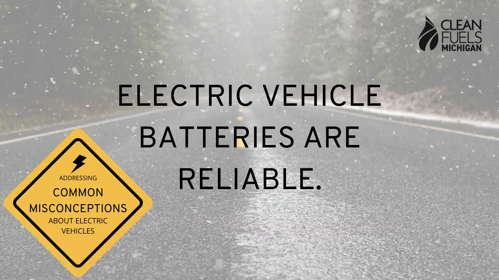 Read more about the article Electric Vehicles: Battery Reliability