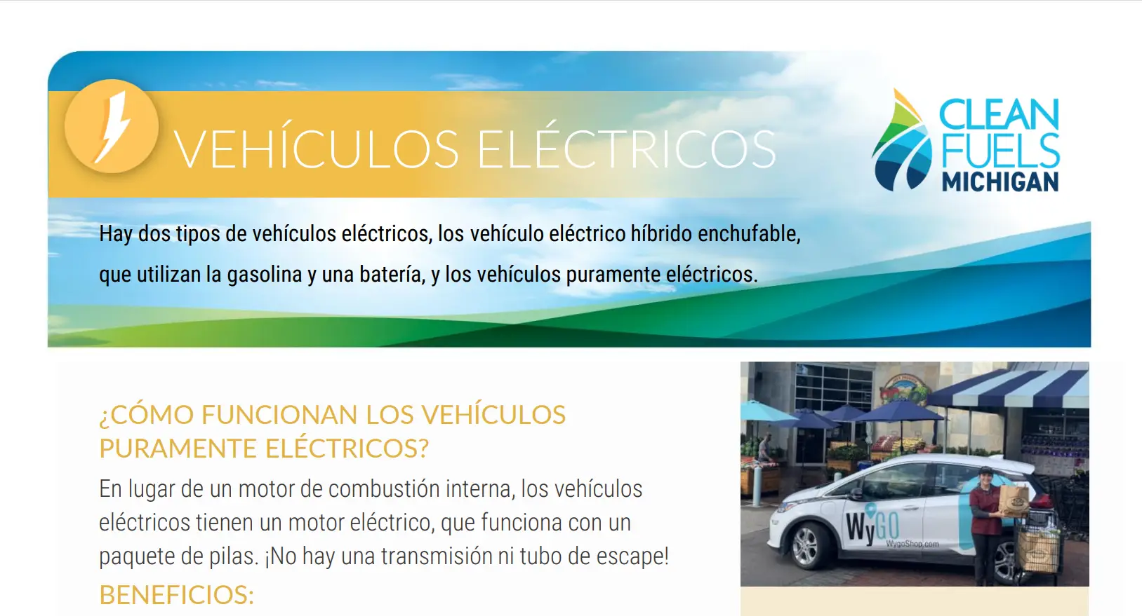 Read more about the article Vehículos Eléctricos (Perfil de Combustible en Español)