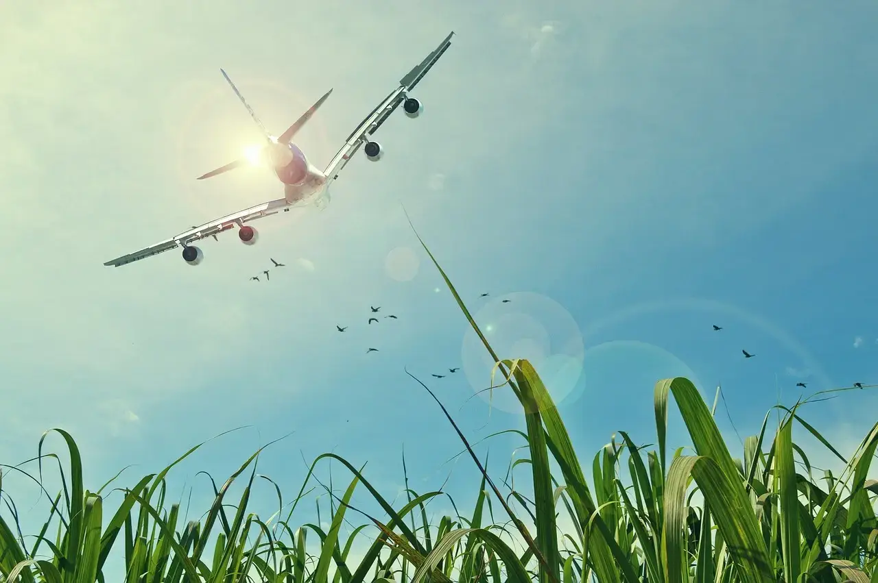 Read more about the article Sustainable Aviation Fuel Credit