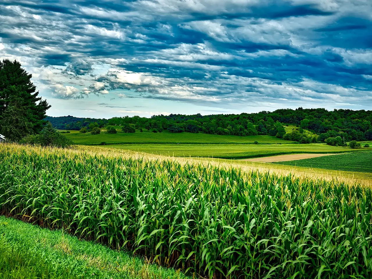 Read more about the article Extension of Tax Credits for Biodiesel and Renewable Diesel