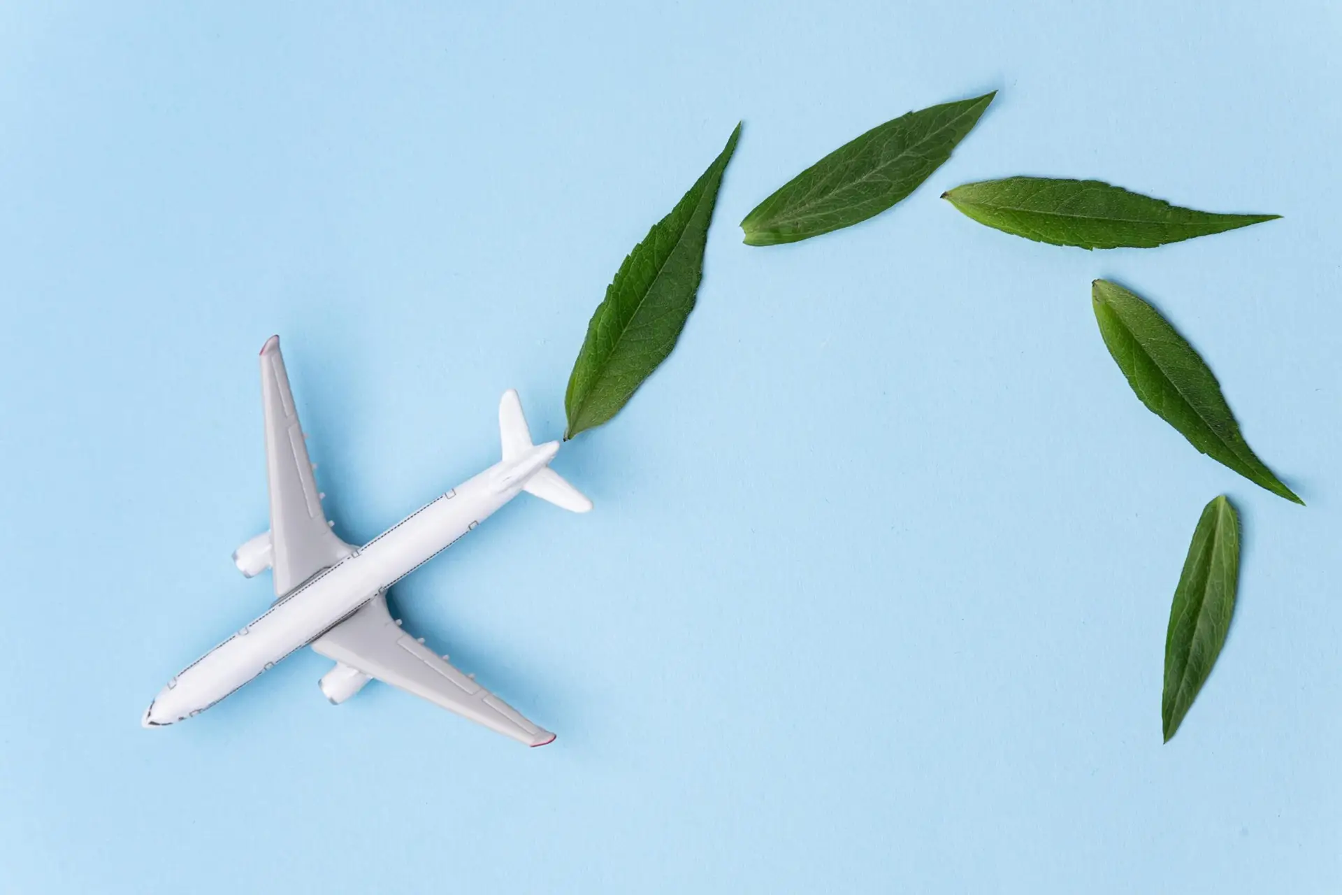 Read more about the article Sustainable Aviation Fuel (SAF) Credit