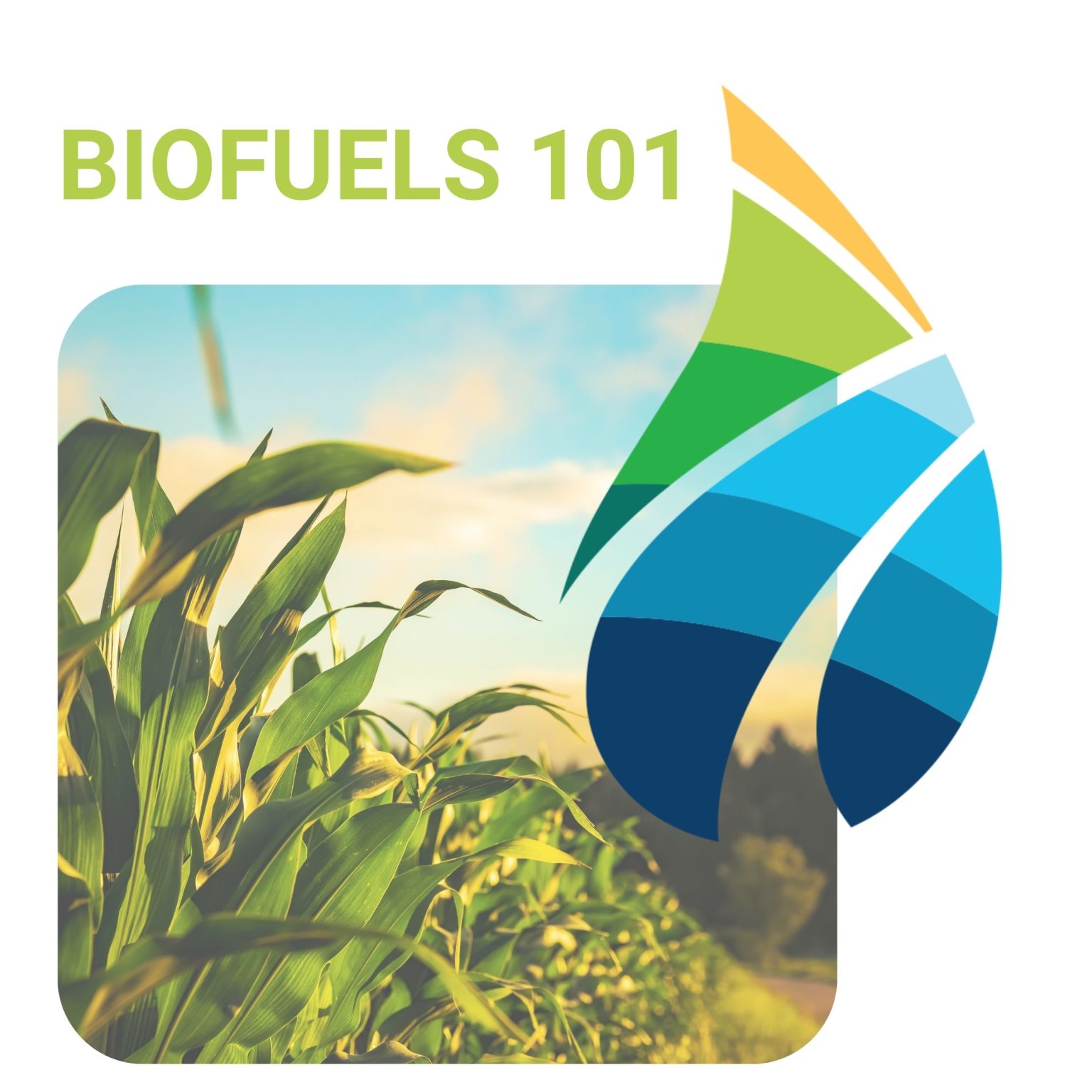 Biofuels 101 | Clean Fuels Michigan