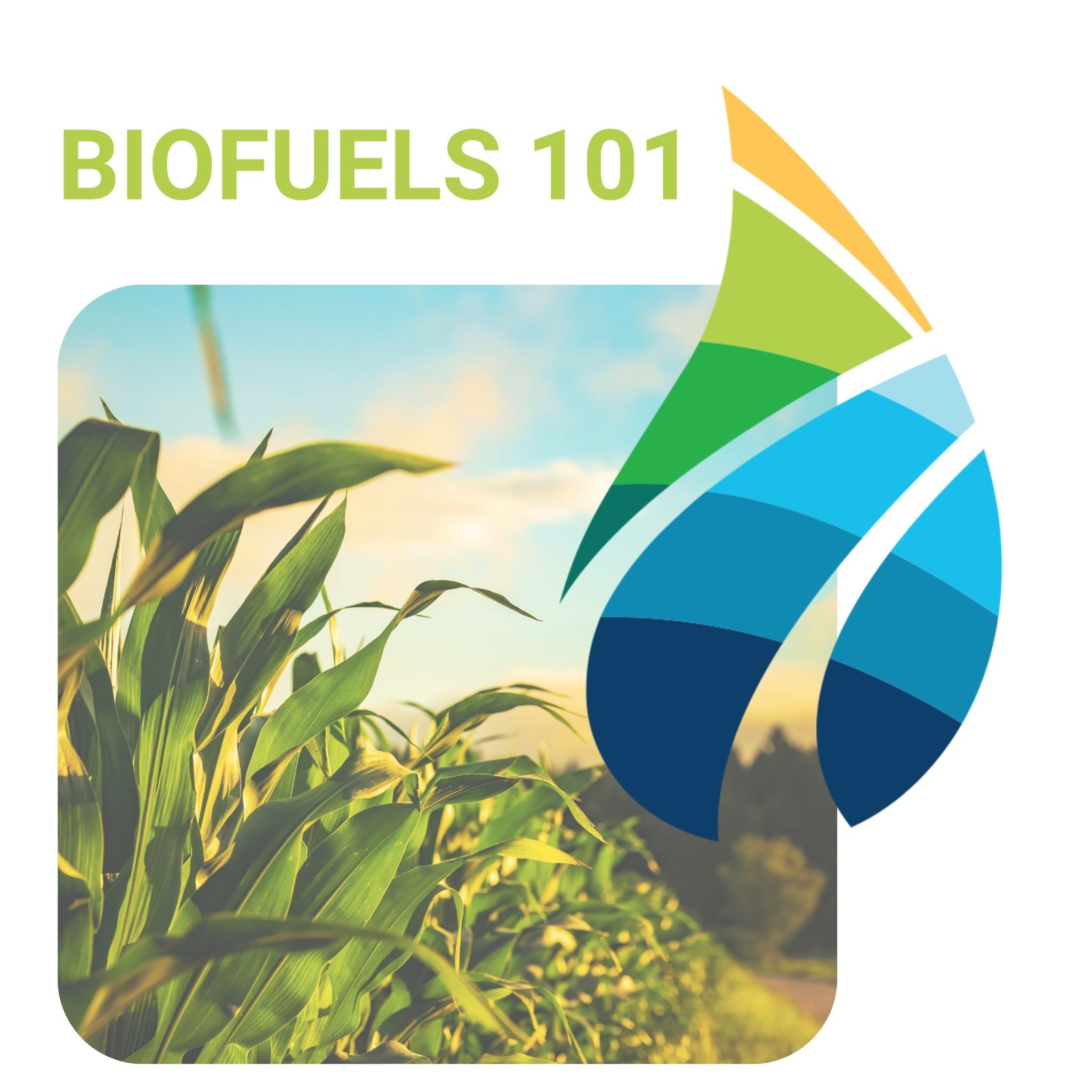 Biofuels 101 | Clean Fuels Michigan