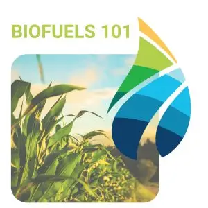Biofuels 101