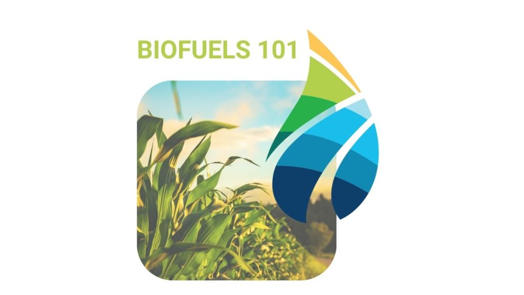 Biofuels 101